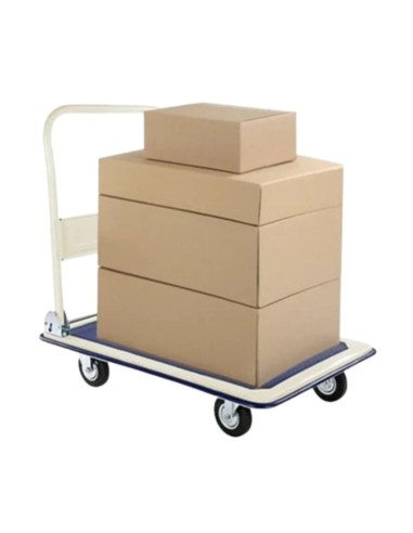 CARGO CARGA PLEGABLE 100 KG