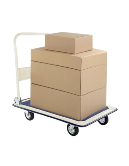 CARGO CARGA PLEGABLE 100 KG